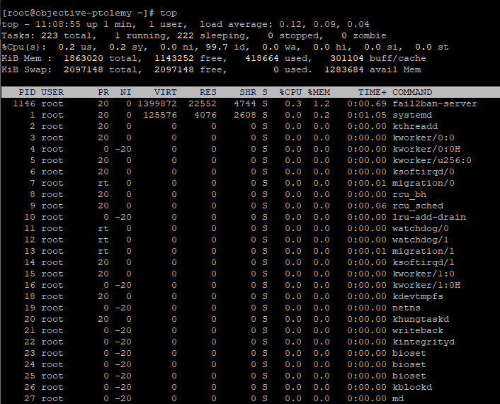 The Linux top command is shown in a command line interface.