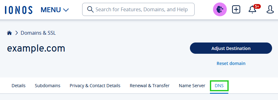 A screenshot of the IONOS control panel, within the Domains & SSL section, with DNS highlighted